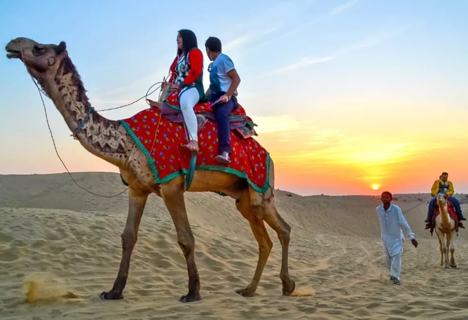 Sunset Camel Safari with Dinner in Sam Sand Dunes in Jaisalmer