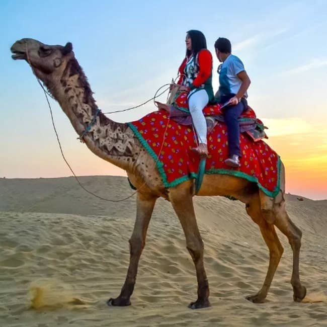 Camel Ride in the Desert: Camel Safari Jaisalmer